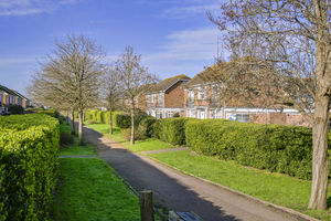 Pathway- click for photo gallery